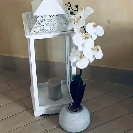 Corte Bianca Casa vacanze Monopoli